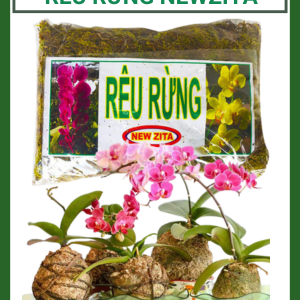 Rêu rừng trồng lan đã qua xử lý