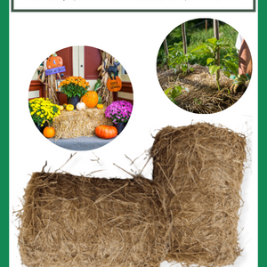 Rơm cuộn, rơm khô cuộn phủ gốc cây, trang trí