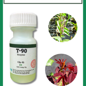 Siêu Kích Mầm T90 (Enzym) - Chuyên Kích Mầm Hoa Lan, Hoa Hồng, Bonsai Cực Mạnh