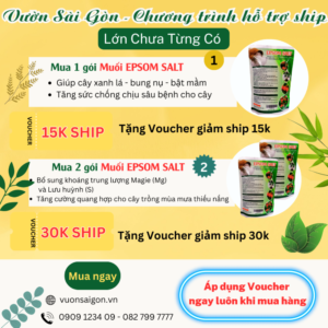 T1 - T3/ 2024 MUA MUỐI EPSOM (ISRAEL) NHẬN NGAY VOUCHER MIỄN GIẢM SHIP