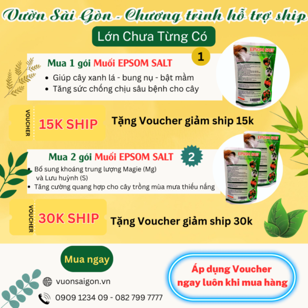 T1 - T3/ 2024 MUA MUỐI EPSOM (ISRAEL) NHẬN NGAY VOUCHER MIỄN GIẢM SHIP