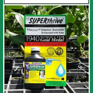 Thần dược - sử dụng SuperThrive cho lan