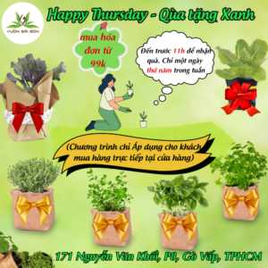 Tháng 10.2024 - Thứ 5 hàng tuần - Quà Tặng Xanh - Nhận Cây Giống Cây Con 0đ | Vườn Sài Gòn