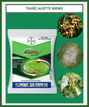 Thuốc Aliette 800WG - thuốc trừ bệnh cây