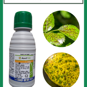 Thuốc Anvil 5SC trừ bệnh cho cây trồng