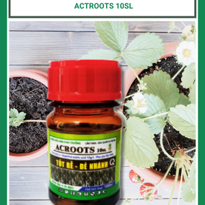 Thuốc điều hòa sinh trưởng cây trồng ACROOTS 10SL