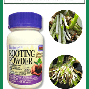 Thuốc kích rễ Rooting Powder - Speeds root development