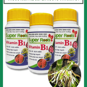 Thuốc kích rễ Super roots Vitamin B1 chai 100ml
