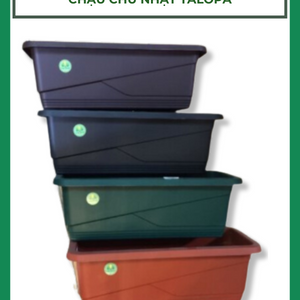TLP chậu chữ nhật TALOPA Tân Lợi Phát
