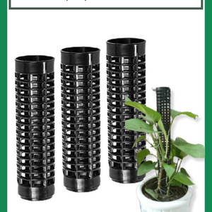 Trụ Nhựa Trồng Kiểng Lá, Cây Leo