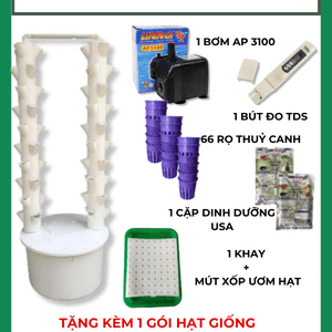 Trụ Thủy Canh Đôi 66 Rọ
