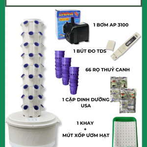 Trụ Thủy Canh Đơn 60 Rọ