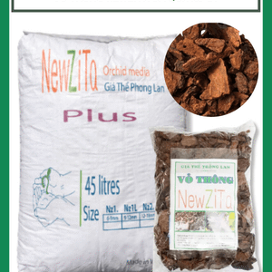 Vỏ thông New Zita đã qua xử lý