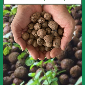 Viên đất nung Việt - sỏi nhẹ trồng cây